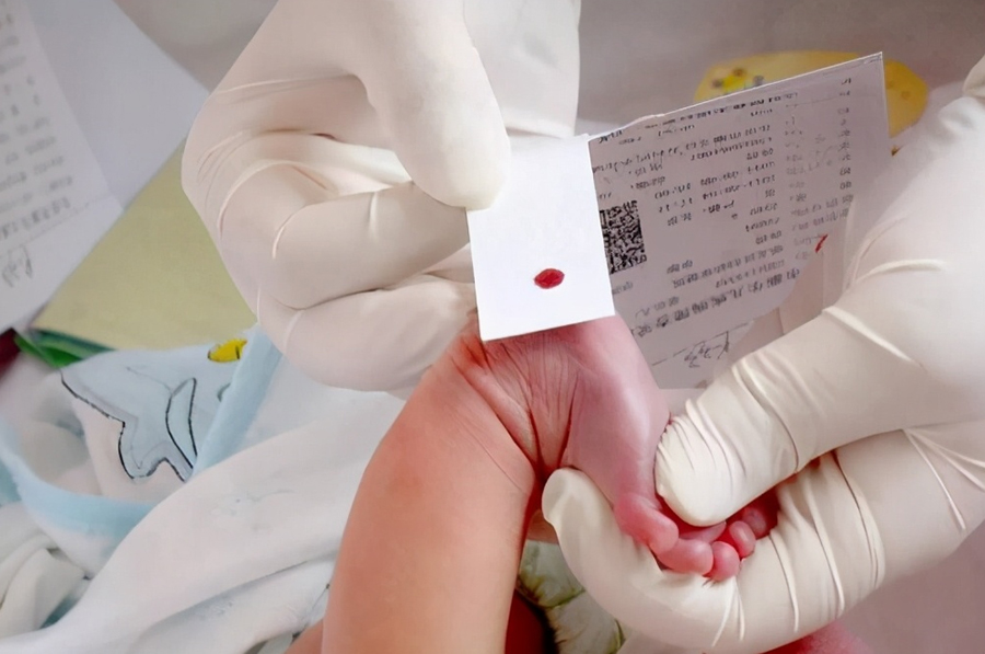 内蒙古专业亲子鉴定机构到哪,内蒙古DNA鉴定生物检材有些什么