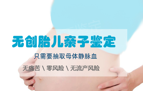 在内蒙古怀孕期间如何办理胎儿亲子鉴定,内蒙古办理孕期亲子鉴定准确可靠吗 在内蒙古怀孕期间如何办理胎儿亲子鉴定,内蒙古办理孕期亲子鉴定准确可靠吗