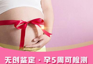 内蒙古孕期亲子鉴定需要什么材料和流程,内蒙古产前亲子鉴定出结果时间